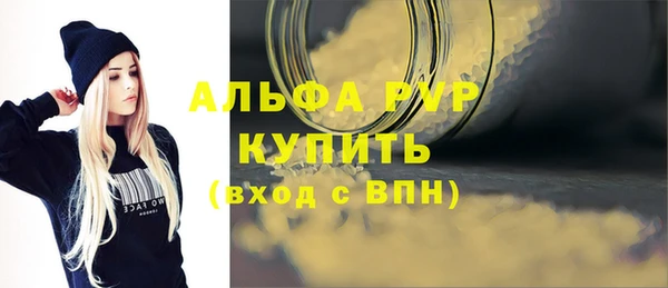ECSTASY Богородск