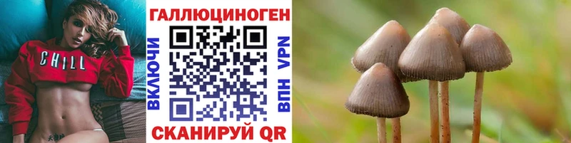 KRAKEN как войти  Междуреченск  Псилоцибиновые грибы Magic Shrooms 