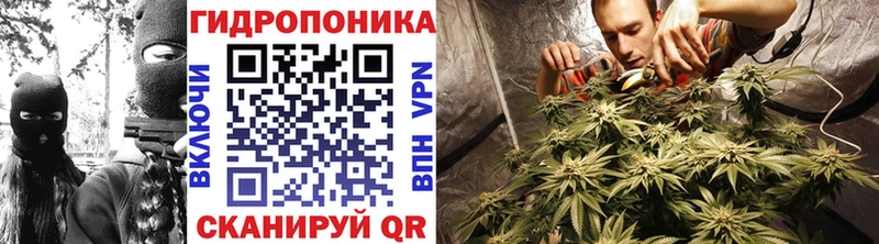 Марихуана Bruce Banner  MEGA ССЫЛКА  Междуреченск 